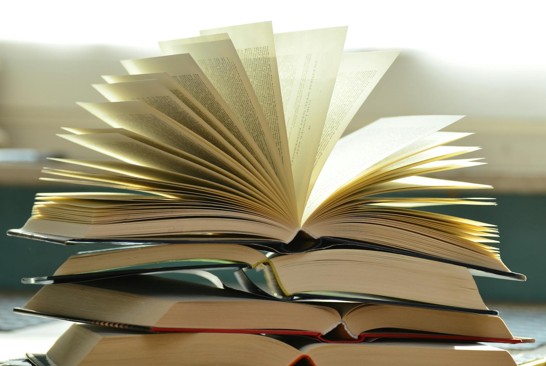 7 livros de poesia para quem quer começar a ler